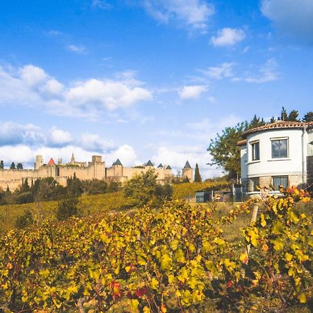 L'Ecrin De La Cite, Coeur De Vignes - Vivez Une Experience Inoubliable ! Carcassonne Exteriér fotografie