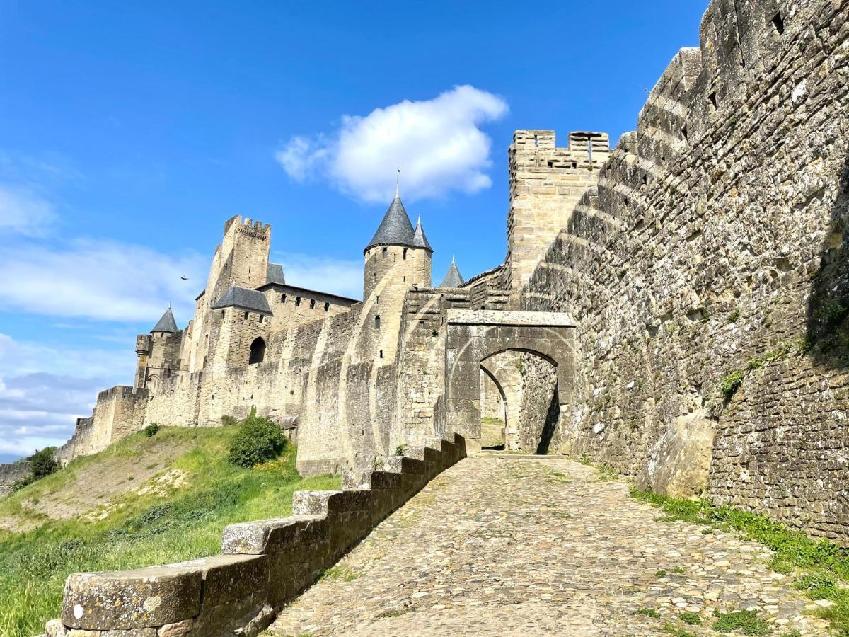L'Ecrin De La Cite, Coeur De Vignes - Vivez Une Experience Inoubliable ! Carcassonne Exteriér fotografie